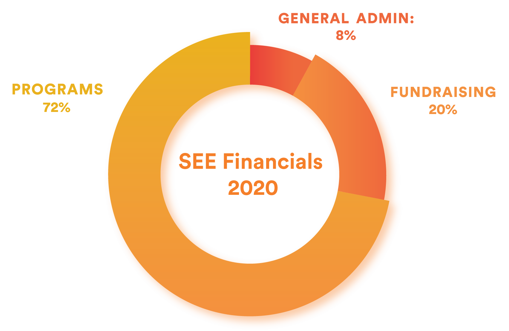 Chart of SEE International's Financials for 2020