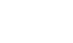 SEE International logo